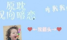 上位by萝卜兔子简介,by萝卜兔子，揭秘职场晋升的奥秘与策略