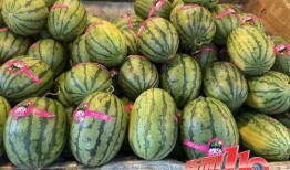 黑料是什么意思 网红大瓜搜索,黑料大揭秘，大瓜搜索带你探秘幕后真相